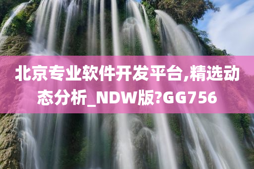 北京专业软件开发平台,精选动态分析_NDW版?GG756