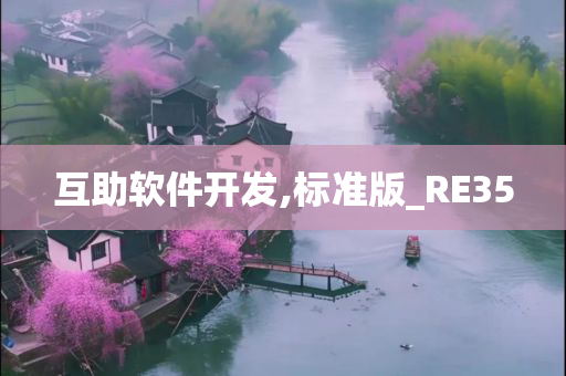 互助软件开发,标准版_RE35