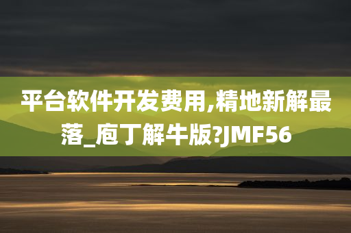 平台软件开发费用,精地新解最落_庖丁解牛版?JMF56