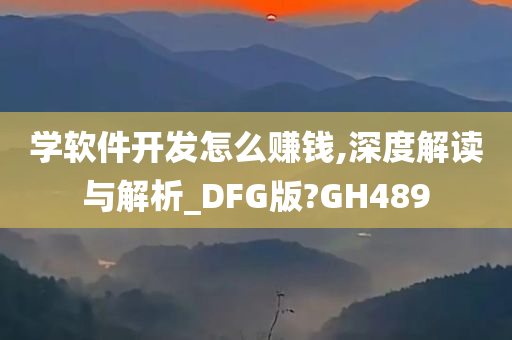 学软件开发怎么赚钱,深度解读与解析_DFG版?GH489