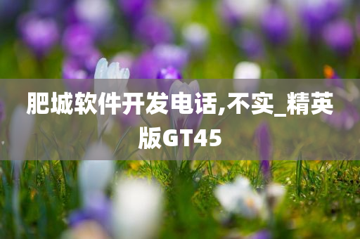 肥城软件开发电话,不实_精英版GT45