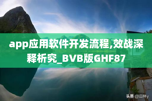 app应用软件开发流程,效战深释析究_BVB版GHF87