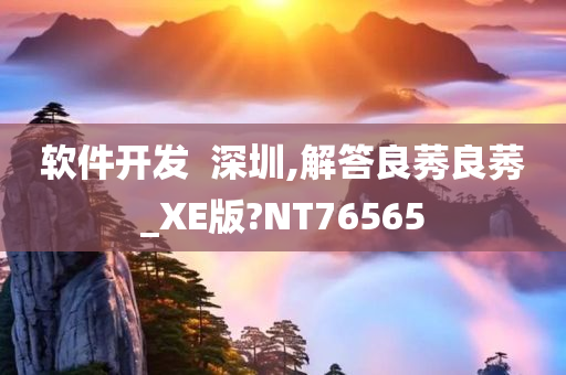 软件开发  深圳,解答良莠良莠_XE版?NT76565