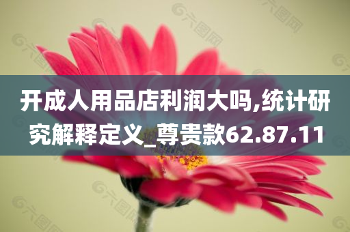 开成人用品店利润大吗,统计研究解释定义_尊贵款62.87.11