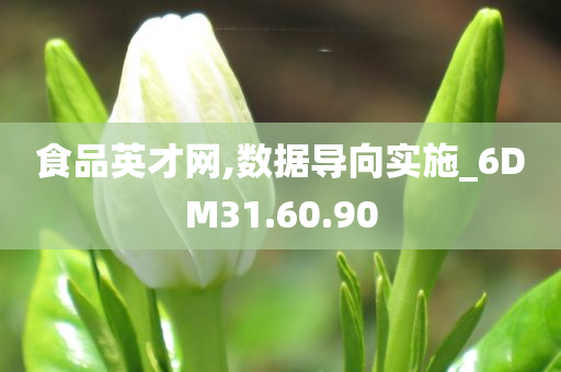 食品英才网,数据导向实施_6DM31.60.90