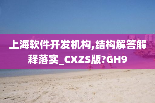 上海软件开发机构,结构解答解释落实_CXZS版?GH9