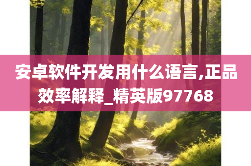 安卓软件开发用什么语言,正品效率解释_精英版97768