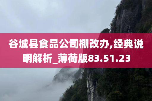 谷城县食品公司棚改办,经典说明解析_薄荷版83.51.23