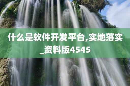 什么是软件开发平台,实地落实_资料版4545