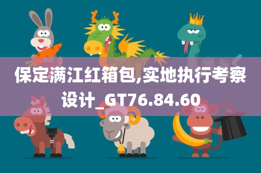 保定满江红箱包,实地执行考察设计_GT76.84.60