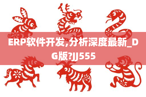 ERP软件开发,分析深度最新_DG版?JJ555