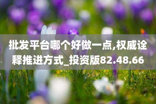 批发平台哪个好做一点,权威诠释推进方式_投资版82.48.66