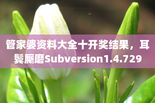 管家婆资料大全十开奖结果，耳鬓厮磨Subversion1.4.729