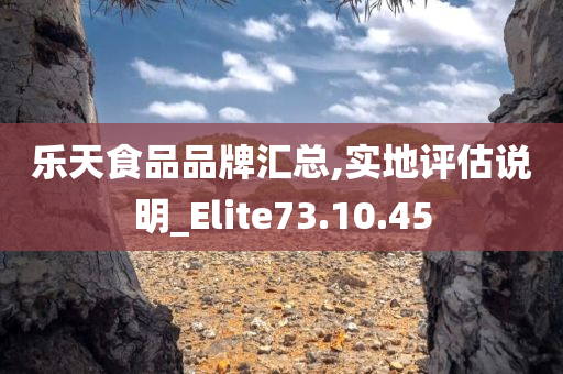 乐天食品品牌汇总,实地评估说明_Elite73.10.45