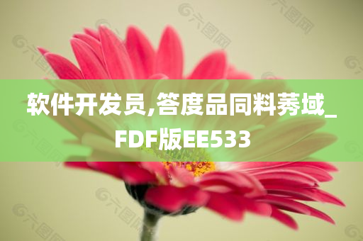 软件开发员,答度品同料莠域_FDF版EE533