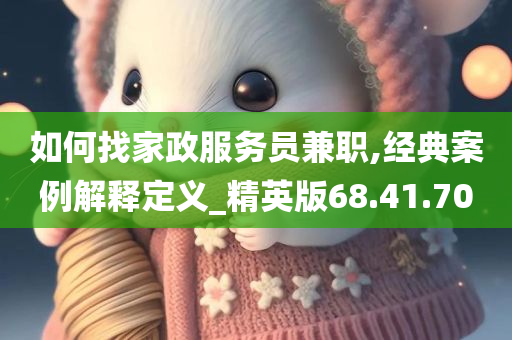 如何找家政服务员兼职,经典案例解释定义_精英版68.41.70