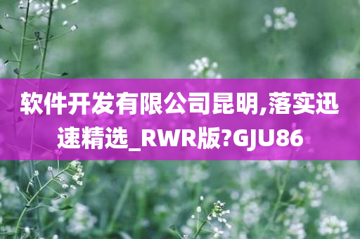 软件开发有限公司昆明,落实迅速精选_RWR版?GJU86