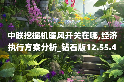 中联挖掘机暖风开关在哪,经济执行方案分析_钻石版12.55.40