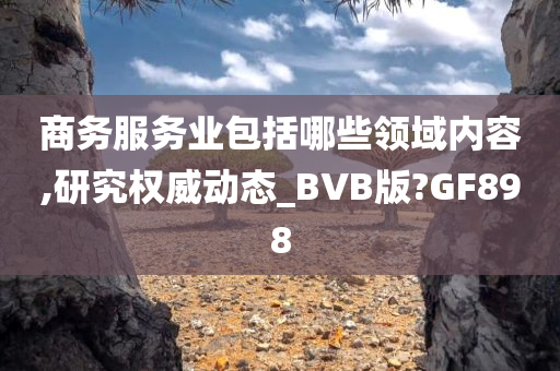 商务服务业包括哪些领域内容,研究权威动态_BVB版?GF898