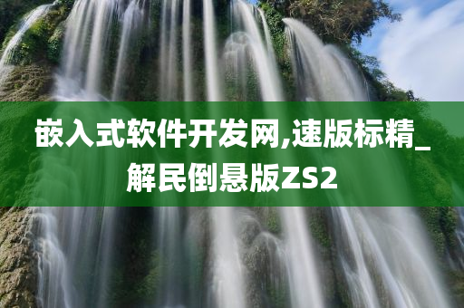 嵌入式软件开发网,速版标精_解民倒悬版ZS2