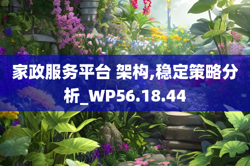 家政服务平台 架构,稳定策略分析_WP56.18.44