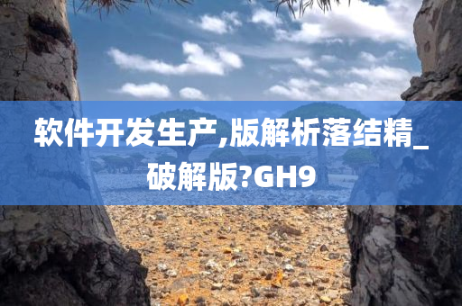 软件开发生产,版解析落结精_破解版?GH9