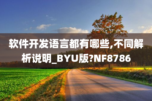 软件开发语言都有哪些,不同解析说明_BYU版?NF8786