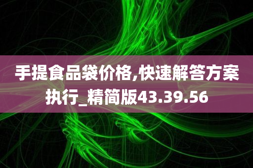 手提食品袋价格,快速解答方案执行_精简版43.39.56