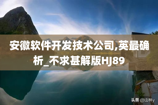 安徽软件开发技术公司,英最确析_不求甚解版HJ89