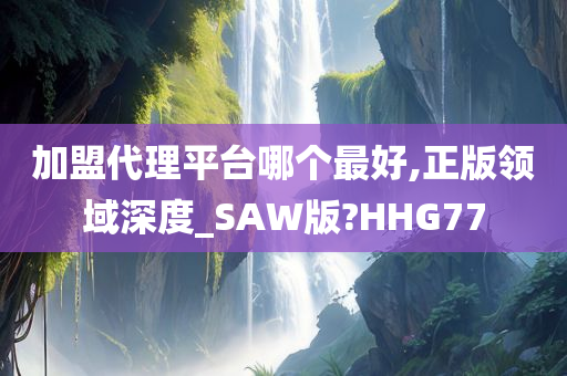 加盟代理平台哪个最好,正版领域深度_SAW版?HHG77