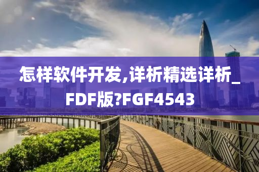 怎样软件开发,详析精选详析_FDF版?FGF4543