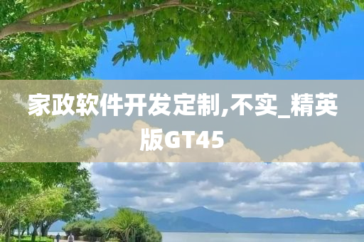 家政软件开发定制,不实_精英版GT45