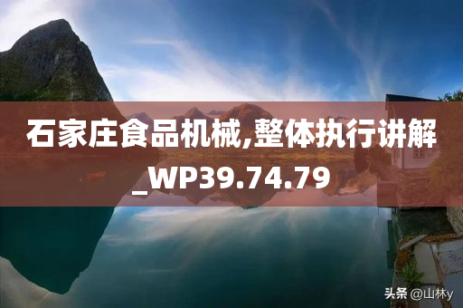 石家庄食品机械,整体执行讲解_WP39.74.79