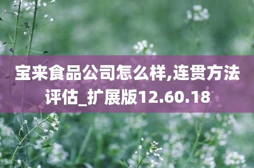 宝来食品公司怎么样,连贯方法评估_扩展版12.60.18