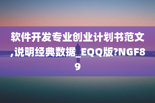 软件开发专业创业计划书范文,说明经典数据_EQQ版?NGF89