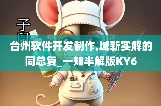 台州软件开发制作,域新实解的同总复_一知半解版KY6