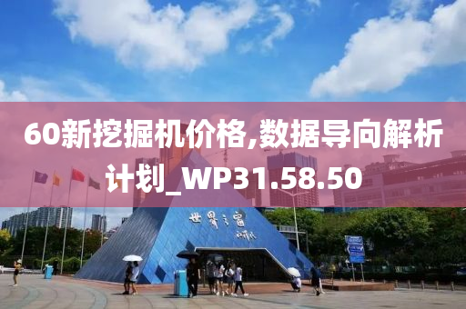 60新挖掘机价格,数据导向解析计划_WP31.58.50