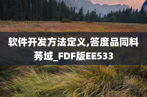 软件开发方法定义,答度品同料莠域_FDF版EE533