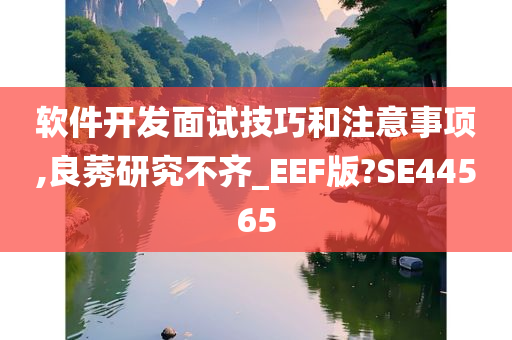 软件开发面试技巧和注意事项,良莠研究不齐_EEF版?SE44565