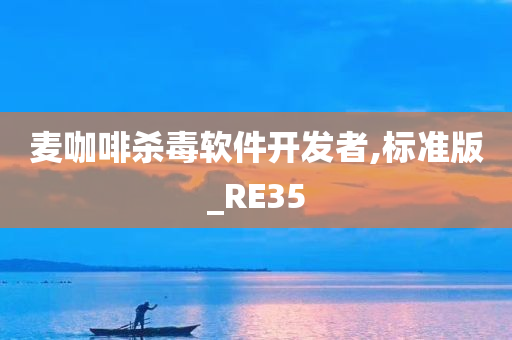 麦咖啡杀毒软件开发者,标准版_RE35