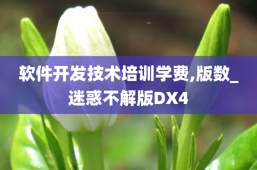 软件开发技术培训学费,版数_迷惑不解版DX4