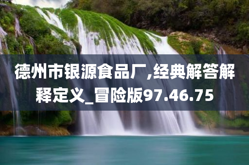 德州市银源食品厂,经典解答解释定义_冒险版97.46.75