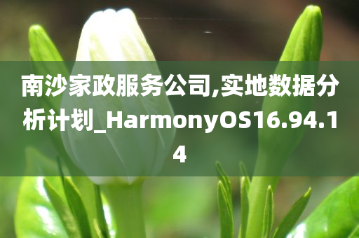 南沙家政服务公司,实地数据分析计划_HarmonyOS16.94.14