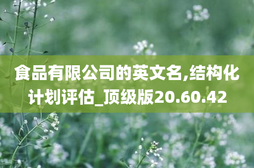 食品有限公司的英文名,结构化计划评估_顶级版20.60.42