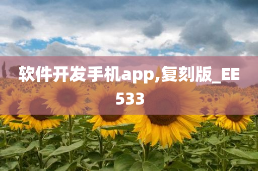 软件开发手机app,复刻版_EE533