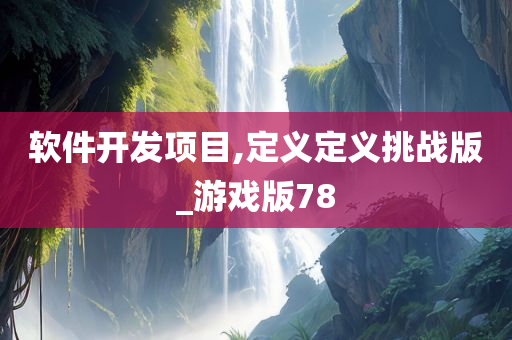 软件开发项目,定义定义挑战版_游戏版78