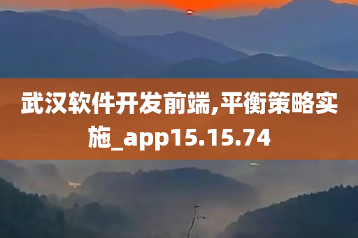 武汉软件开发前端,平衡策略实施_app15.15.74