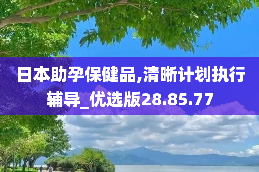 日本助孕保健品,清晰计划执行辅导_优选版28.85.77