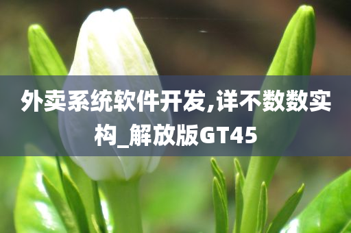 外卖系统软件开发,详不数数实构_解放版GT45