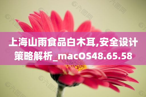 上海山雨食品白木耳,安全设计策略解析_macOS48.65.58